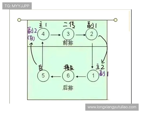 排球新手必读:全面掌握状态调整与技巧提升的入门指南